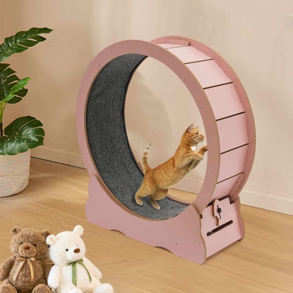 Cat Wheel, Cat Exercise Wheel, Cat Exercise Wheel for Indoor Cats(Pink) Cat Wheel, Cat Exercise Wheel, Cat Exercise Wheel for Indoor Cats(Pink)