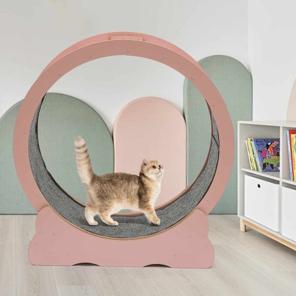 Cat Wheel, Cat Exercise Wheel, Cat Exercise Wheel for Indoor Cats(Pink) Cat Wheel, Cat Exercise Wheel, Cat Exercise Wheel for Indoor Cats(Pink)