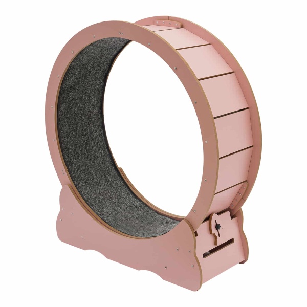 Cat Wheel, Cat Exercise Wheel, Cat Exercise Wheel for Indoor Cats(Pink) Cat Wheel, Cat Exercise Wheel, Cat Exercise Wheel for Indoor Cats(Pink)