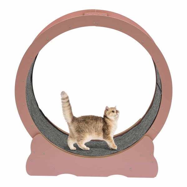 Cat Wheel, Cat Exercise Wheel, Cat Exercise Wheel for Indoor Cats(Pink) Cat Wheel, Cat Exercise Wheel, Cat Exercise Wheel for Indoor Cats(Pink)