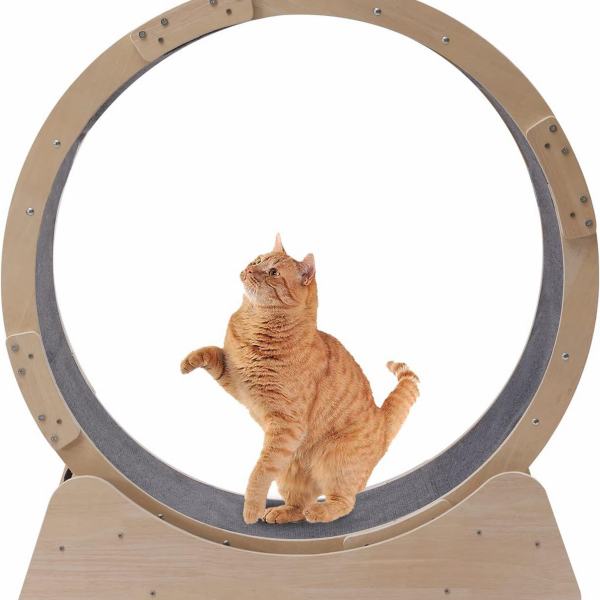Cat Exercise Wheel - Cat Wheel Exerciser for Indoor Cats - Cat Running Wheel, Round Hamster-Wheel Style Cat Exercise Wheel with Carpet Runway, Wooden Linen-Covered with Unique Design