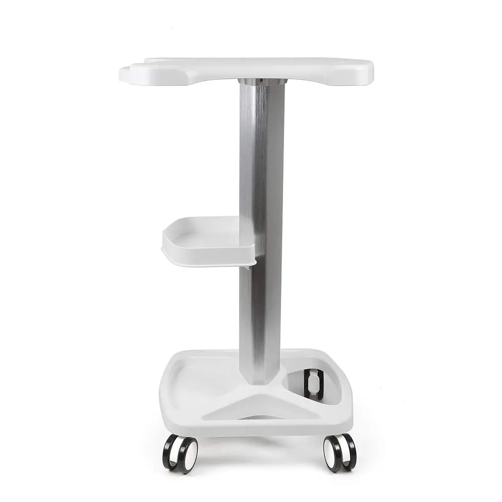 Salon Roller Trolley Cart Stand Beauty Instrument Tray Rolling Cart