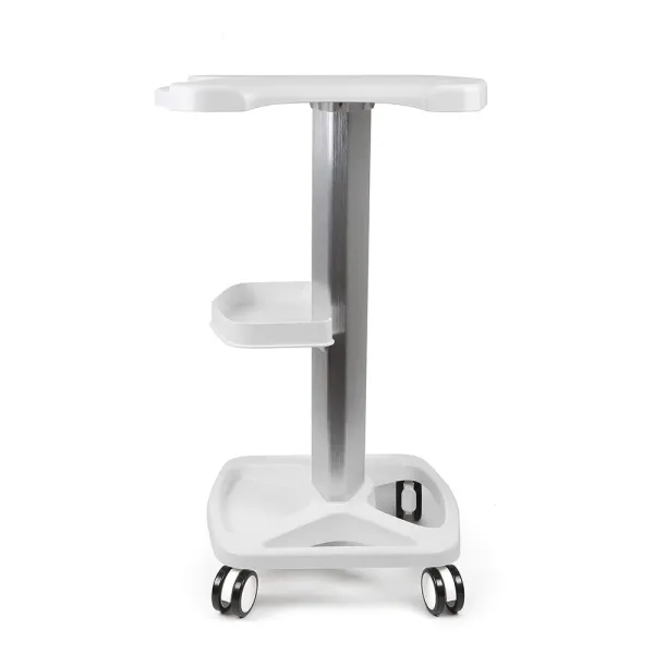 Salon Roller Trolley Cart Stand Beauty Instrument Tray Rolling Cart