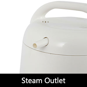 Portable Steam Sauna1.8L Sauna Steamer Pot Home Shower SPA Body Therapy 110V US Plug 900W Steamer Pot ABS