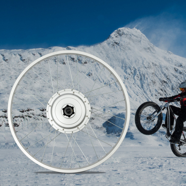 Electric Bike Conversion Kit Electric Bike Front Wheel Kit Ebike